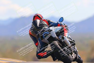 media/Oct-09-2022-SoCal Trackdays (Sun) [[95640aeeb6]]/Turn 9 Backside (120pm)/